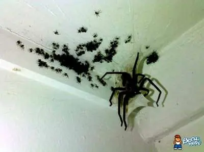 Cuatro pasos para superar una fobia