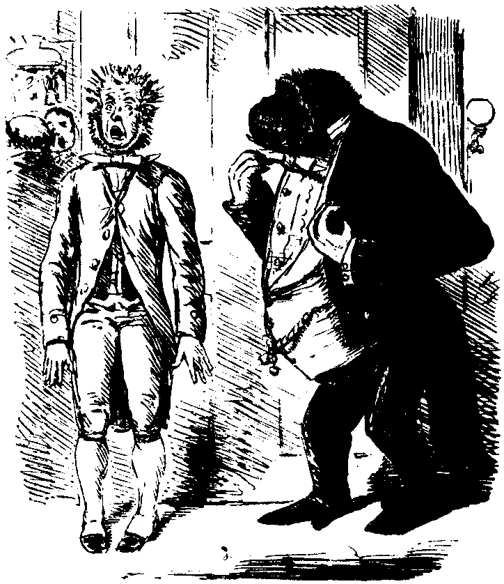 Malentendidos de los humanos con Primates