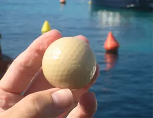 Primera pelota comestible