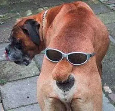 imagenes chistosas