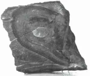 Las Pisadas de Adán y Eva. (MiniPost)