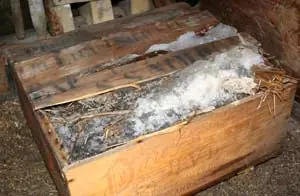 Encuentran whisky en la Antártida