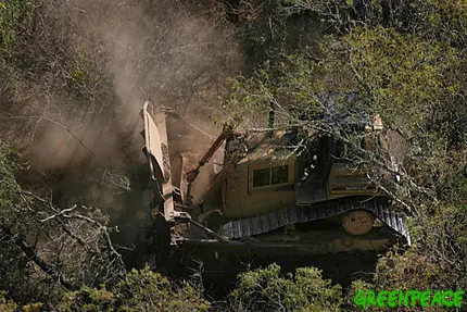 Soja, Imagenes de una Tragedia Cambio Climatico