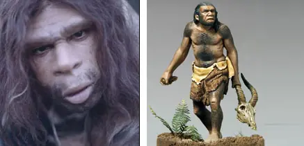 homo sapiens