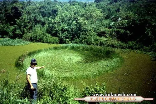 Avistamiento masivo de Ovnis en Argentina