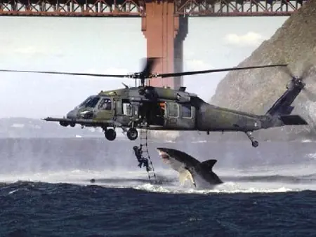 14 Fotos que engañaron al Mundo