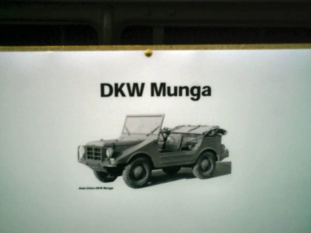 Munga.