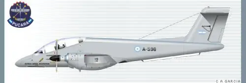 Que lindo verlos en el aire...