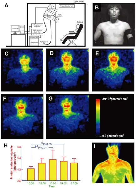 Fantastico Los humanos brillamos con luz visible
