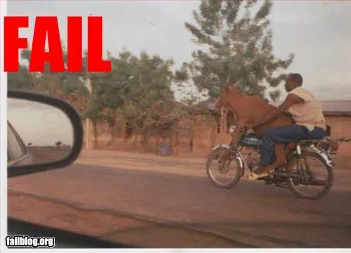 Imagenes graciosas