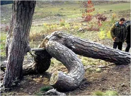humor