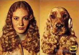 ¿Por que los Perros son mejor que las mujeres? jaja