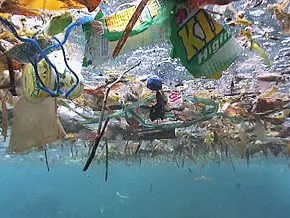 La monstruosa Isla de la Basura del Pacífico