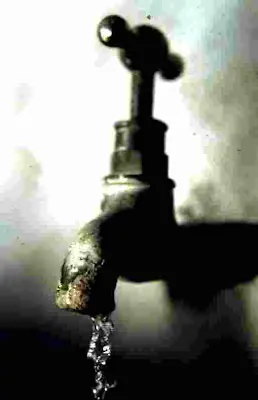 Un tesoro tirado a la calle