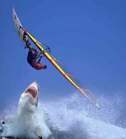 Un tiempito de diversion