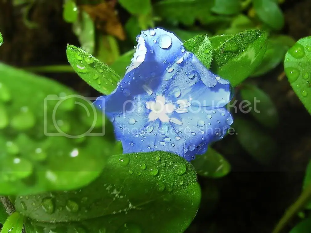 El Mundo Sin Mujeres...Sufririan los Hombres???