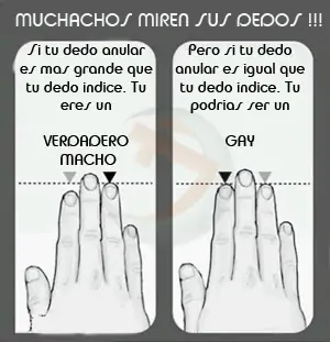 Veni A Entretenerte Con Test's