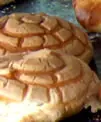 Te gustan las Conchas? Entrá!