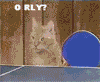 Muchos Gifs