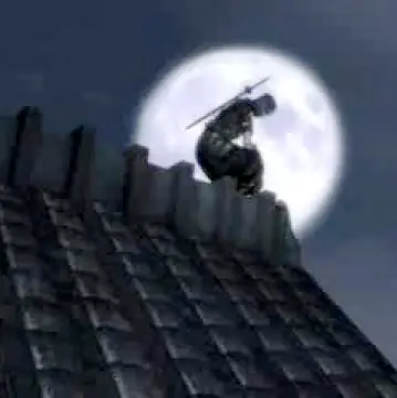 El ninja y su entrenamiento