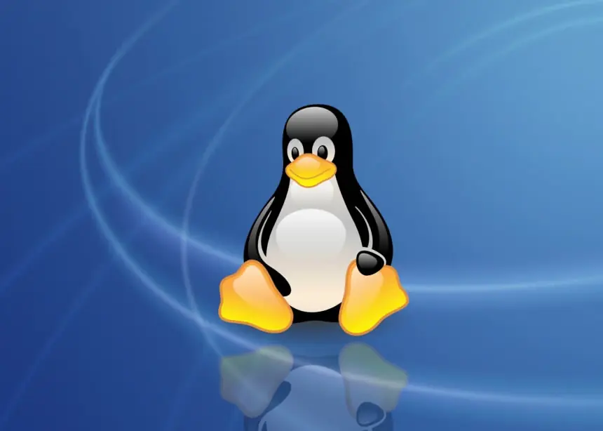 10 programas que necesita Linux