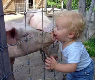 MegaPost de Risas!! =D