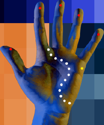 Las Líneas de tu Mano