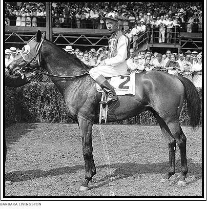 seabiscuit el mas grande