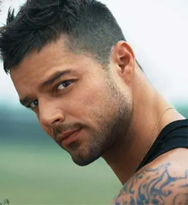 La homosexualidad de Ricky Martin