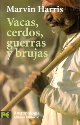 Escobas y aquelarres
