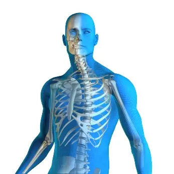 Spectrum excavatum y carinatum