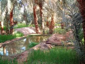 Sabiduría Sufi