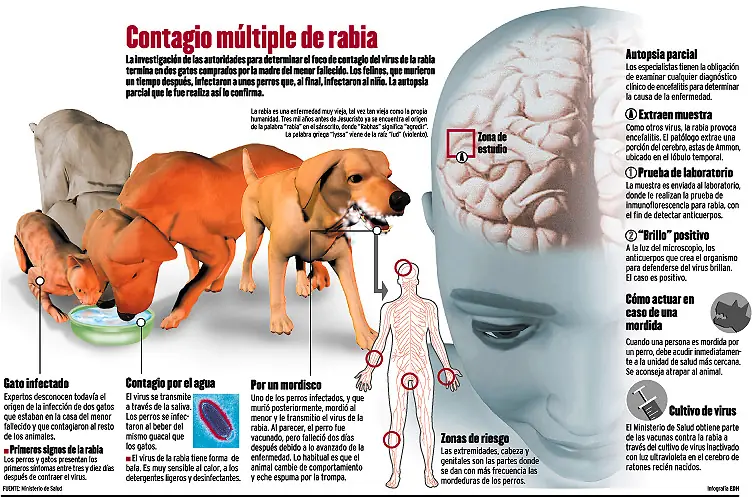 enfermedades