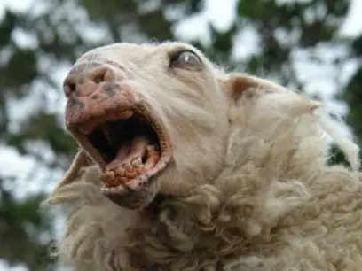 Las formas de morir mas insolitas y absurdas!