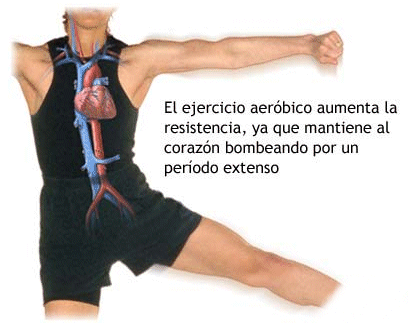 enfermedades