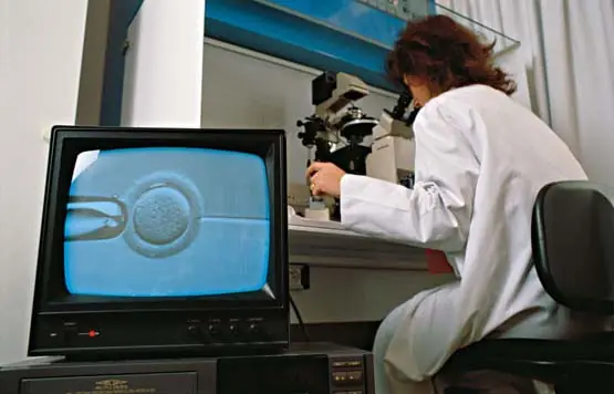 Por fin una buena noticia y no muy divulgada...