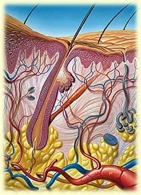 Da Asco Pero Todo pasamos por esto y es bueno saber