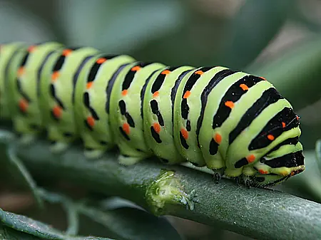 Cosas que quizas no sabias! 2