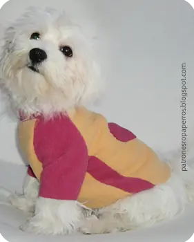 Ropa De Perros. Para Que Este Invierno No Tenga Frio