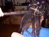 Como hacer rastas