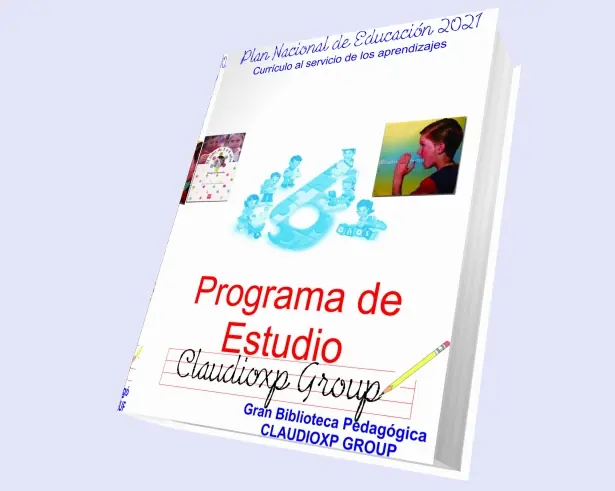 Plan Educación 2021: Currículo al Servicio Aprendizajes