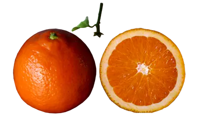 Tutorial para crear frutas cuadradas con Photoshop