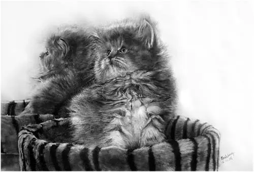 Dibujos hiperrealistas de gatos