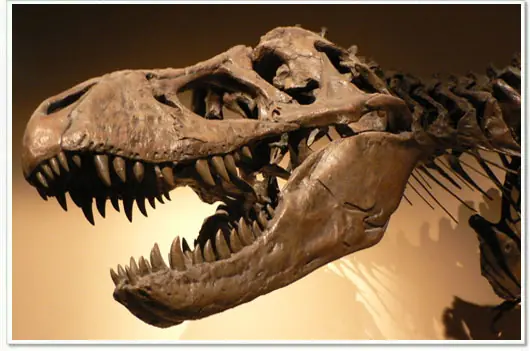 La extinción de los dinosaurios