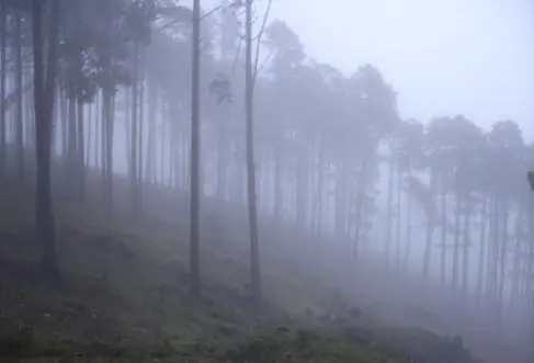 Fenómenos del clima