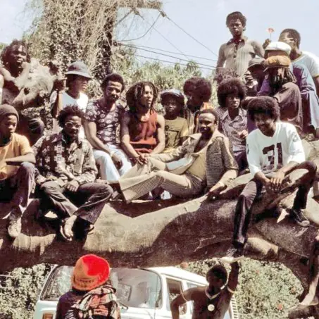 famosos marihuanos