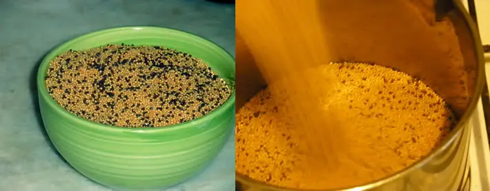 Receta para preparar mostaza tipo dijon o de grano entero