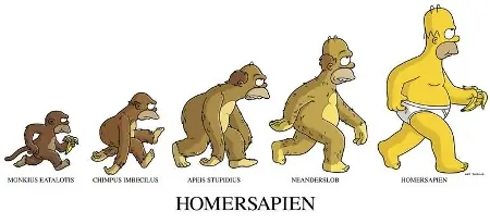 Descubren fósil que vincula a humanos y monos