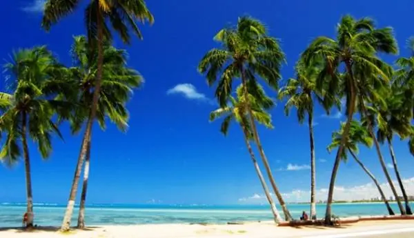 Las 10 mejores playas de Brasil