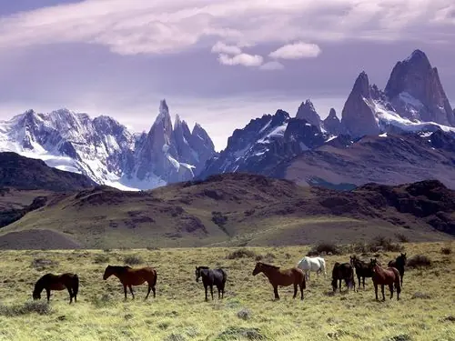 Nuestra patagonia vendida